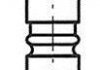 Клапан головки блока цилиндров двигателя FRECCIA R4223/SCR (фото 1)