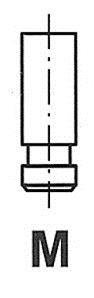 Клапан головки блоку циліндрів двигуна FRECCIA R6175/SNT (фото 1)