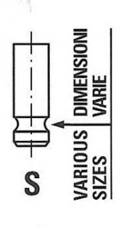Клапан головки блоку циліндрів двигуна FRECCIA R6439/SNT (фото 1)