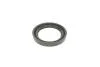 Р-кт супорта перед. Citroen Xsara 97-05 /Peugeot 206, 306 94- /Renault Kangoo 97- (Bosch 54mm) FRENKIT 254019 (фото 7)