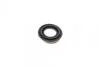 Ремкомплект супорту заднього MB Vito (W638) (d=33mm)(Bosch)(+поршень/напрямні) FRENKIT 733020 (фото 5)