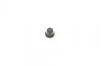 Ремкомплект супорту заднього MB Vito (W638) (d=33mm)(Bosch)(+поршень/напрямні) FRENKIT 733020 (фото 6)