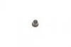 Ремкомплект супорту заднього MB Vito/Viano (W639)(d=38mm)(Bosch)(+поршень/напрямні) FRENKIT 738128 (фото 2)