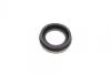 Ремкомплект супорту заднього Audi A4/A6/VW Golf 3/Polo 3/Sharan/Vento (d=38mm)(Lucas/TRW)(+поршень/напрямні) FRENKIT 738903 (фото 3)