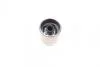 Поршень суппорта MAZDA 323 F VI (BJ) 98-04,323 S VI (BJ) 98-04,626 V (GF) 97-02,626 V Hatchback (FRENKIT K354001 (фото 3)