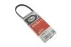 Фото 2 - поликлинные ремни Micro-V (Выр-во) Gates 3PK515 Поликлинные ремни Micro-V (Выр-во) Gates 3PK515 (фото 2)