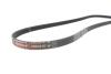 PASEK WIELOROWK. Gates 3PK881SF (фото 3)