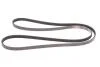 Ремінь поліклін. 4PK1720 (пр-во Gates)