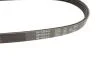 Ремінь г/усил CRUZE/Av T300 55564676 Gates 4PK643 (фото 2)