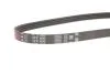 Ремінь генер ACCENT,ELANTRA,LANTRA,GETZ 25212-22030 Gates 4PK898 (фото 2)