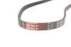 Ремінь генер ACCENT,ELANTRA,LANTRA,GETZ 25212-22030 Gates 4PK898 (фото 3)