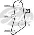 Пасок ГРМ Bmw 320i, 325i 82-09/85, 520i 81-85, 525e 5041