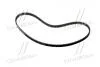 Пасок ГРМ 129 z Fiat Palio, Punto 1,2 94-99 5545XS