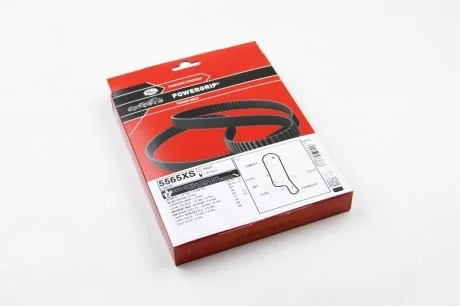Ремень ГРМ Caddy II/III/Golf IV/Octavia 1.4i 00-05 Gates 5565XS