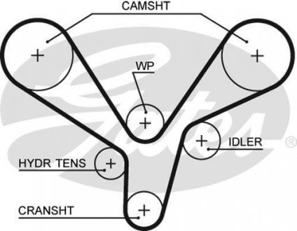 Ремінь ГРМ Gates 5636XS (фото 1)