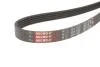 Ремінь полікліновий, Suzuki Baleno 95-02, SX4 06-/Jetta 05-10, New beetle 98-10 Gates 5 PK 1550 (фото 2)