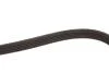 Ремінь полікліновий, Suzuki Baleno 95-02, SX4 06-/Jetta 05-10, New beetle 98-10 Gates 5 PK 1550 (фото 4)