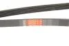 Поликлиновые ремни Micro-V Gates 5PK1650 (фото 5)
