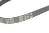 Ремінь генер MITSUBISHI LANCER 1.3 1.6 03-08 Gates 5PK903 (фото 5)