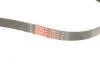 PASEK KLIN 6PK1005EMD/ CITROEN BERLINGO/PEUGEOT 308/508 1,6HDI 14- START/STOP Gates 6PK1005EST (фото 5)