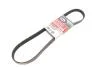 Поліклінові ремені Micro-V StretchFit (Пр-во Gates) 6PK1090SF