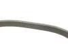 PASEK WIELOKLINOWY MAZDA 2 14-17 Gates 6PK1199EST (фото 3)