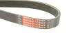PASEK WIELOKLINOWY MAZDA 2 14-17 Gates 6PK1199EST (фото 5)