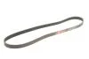 Ремінь полікліновий Ford Focus/C-Max 1.8-2.0 06- Gates 6PK1249SF (фото 2)
