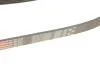 Ремінь полікліновий Ford Focus/C-Max 1.8-2.0 06- Gates 6PK1249SF (фото 4)