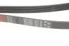 Поліклінові ремені Micro-V Gates 6PK1525 (фото 5)