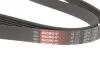 Ремінь генератора Golf IV/BMW/Ford/Opel Gates 6PK1540 (фото 3)