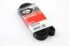 Ремень генератора 6PK1740 Jumpy 1.9D/2.0HDI -07 (+AC)