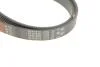 Поликлинные ремни Micro-V (Выр-во) Gates 6PK1915 (фото 4)