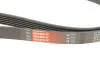 Поликлинные ремни Micro-V (Выр-во) Gates 6PK1915 (фото 5)