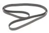 Поліклінові ремені Micro-V Gates 6PK2115 (фото 4)