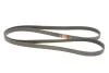 Ремінь полікліновий DB W124/S124/W463/R129 Gates 6PK2175 (фото 2)