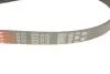 Ремінь полікліновий DB W124/S124/W463/R129 Gates 6PK2175 (фото 4)