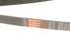 Ремінь полікліновий DB W124/S124/W463/R129 Gates 6PK2175 (фото 5)