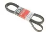 Ремінь поліклін. 6PK2448 (пр-во Gates) Розпродаж