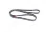 Поліклінові ремені Micro-V (Пр-во Gates) 6PK2465