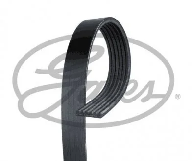 Ремень поликлиновый Audi, Renault, Skoda, VW, Seat Gates 6PK900