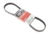 Ремінь поліклін. 6PK905 (пр-во Gates)