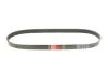 Ремінь генератора Ducato 1.9D/TD 94>02 (ALT, PS, AC) Gates 6PK963 (фото 2)