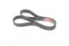 Поликлиновые ремни Micro-V Gates 7PK1135 (фото 3)