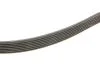 Поликлинные ремни Micro-V (Выр-во) Gates 7 PK 1275 T (фото 3)