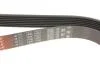 Поликлинные ремни Micro-V (Выр-во) Gates 7 PK 1550 (фото 4)