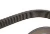Поликлинные ремни Micro-V (Выр-во) Gates 7PK1600 (фото 3)