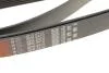 Поліклинові ремені Micro-V Gates 8PK2410 (фото 4)