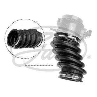 PRZEWУD SSҐCY FORD C-MAX II 10- Gates ANTK1070