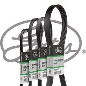 Фото дорожный пас Gates CB0004 Дорожный пас Gates CB0004
